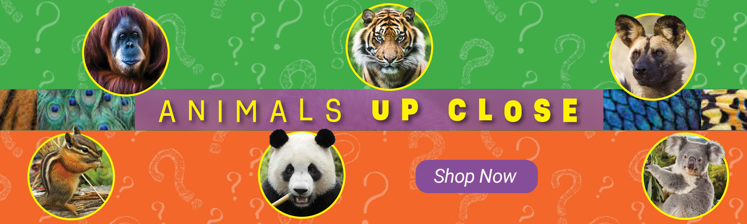 Animals Up Close: Mammals