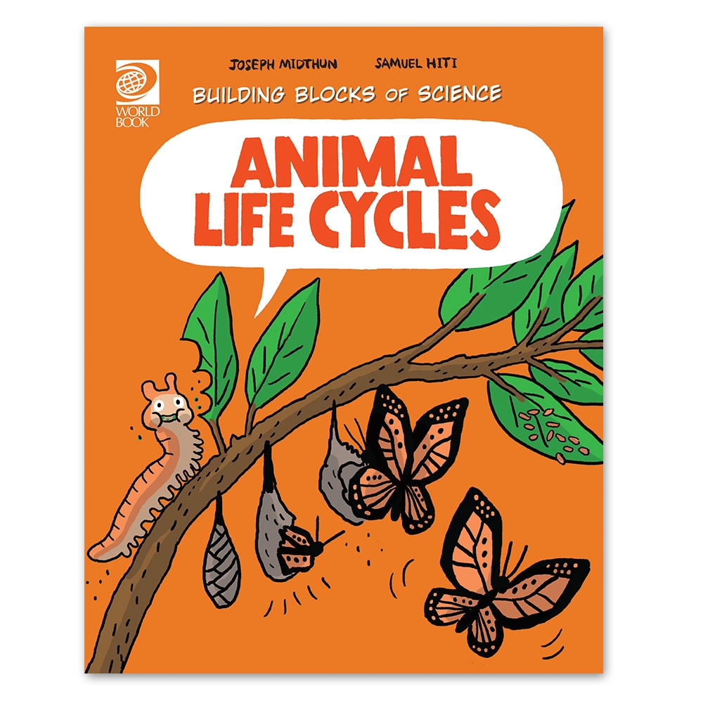 Animal Life Cycles