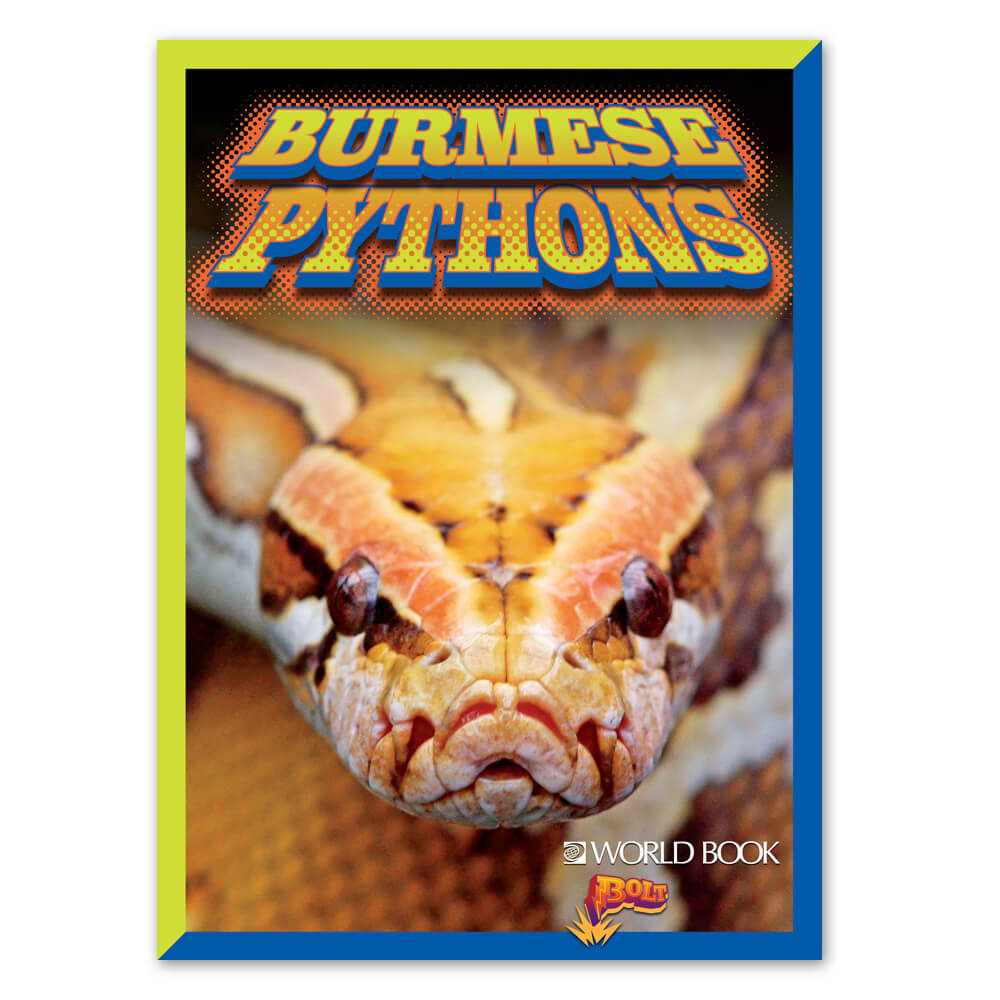 Burmese Pythons Paperback | World Book